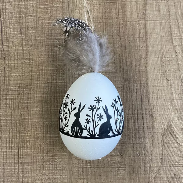 Eier